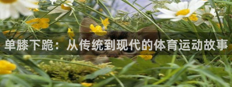 xc体育app官方网站