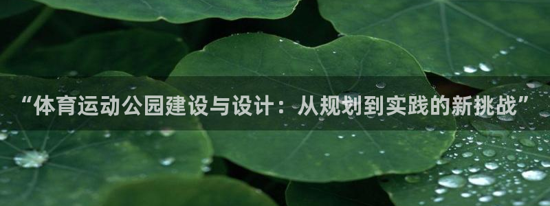 xc体育app官方网站