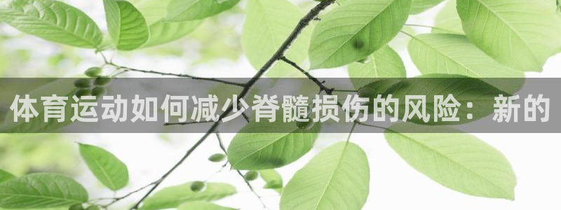 xc体育app官方网站