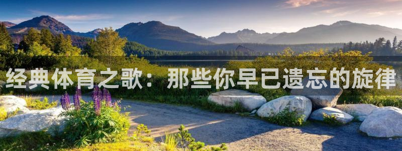 xc体育app官方网站