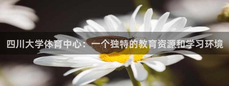 xc体育app官方网站