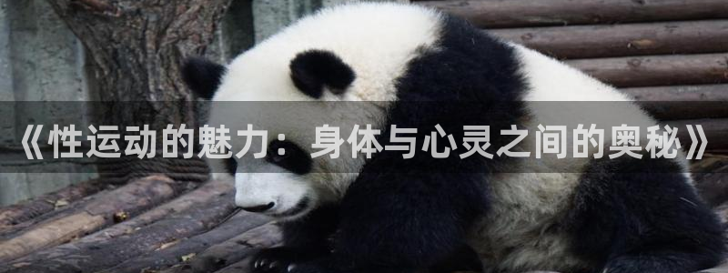 xc体育app官方网站：《性运动的魅力：身体与心灵之间的奥秘》
