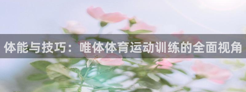 xc体育app官方网站