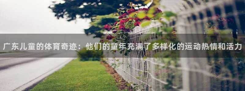 xc体育app官方网站