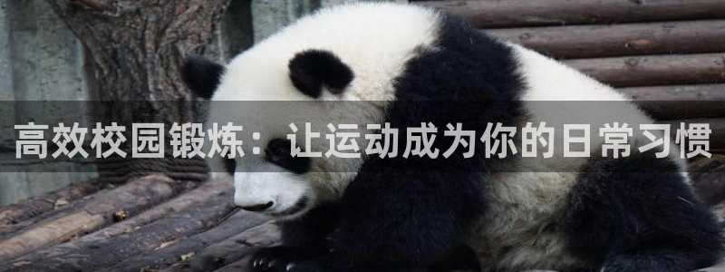 xc体育app官方网站：高效校园锻炼：让运动成为你的日常习惯