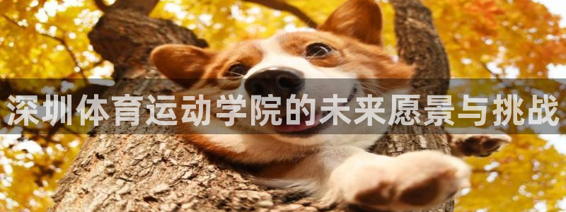 xc体育：深圳体育运动学院的未来愿景与挑战