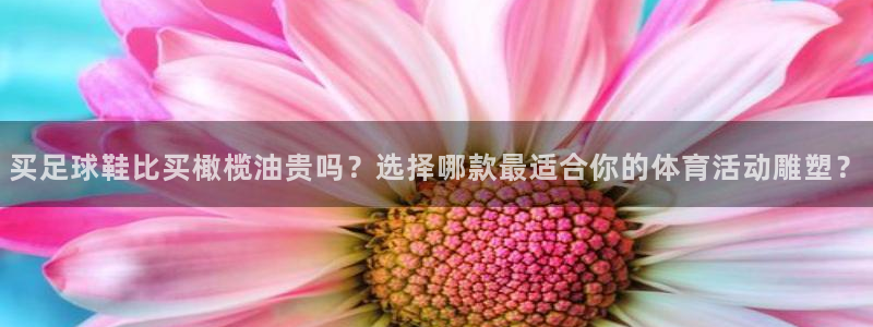 xc体育：买足球鞋比买橄榄油贵吗？选择哪款最适合你的体育活动雕塑？