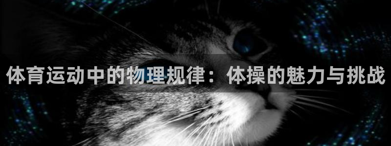 xc体育app官方网站：体育运动中的物理规律：体操的魅力与挑战