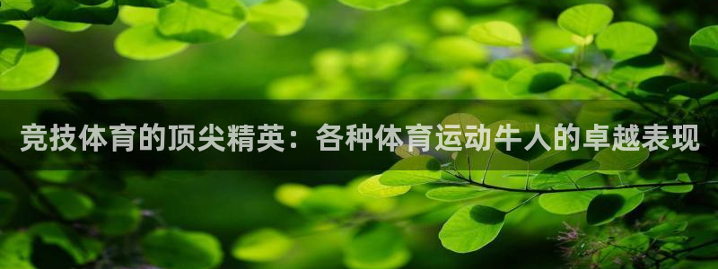 xc体育app官方网站