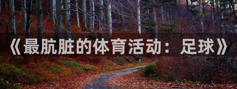 xc体育app官方网站：《最肮脏的体育活动：足球》