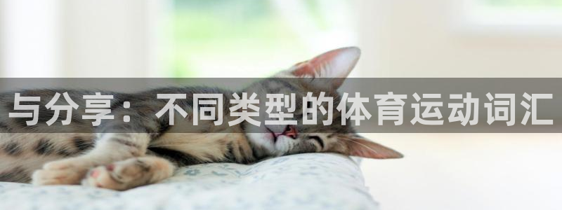 xc体育：与分享：不同类型的体育运动词汇